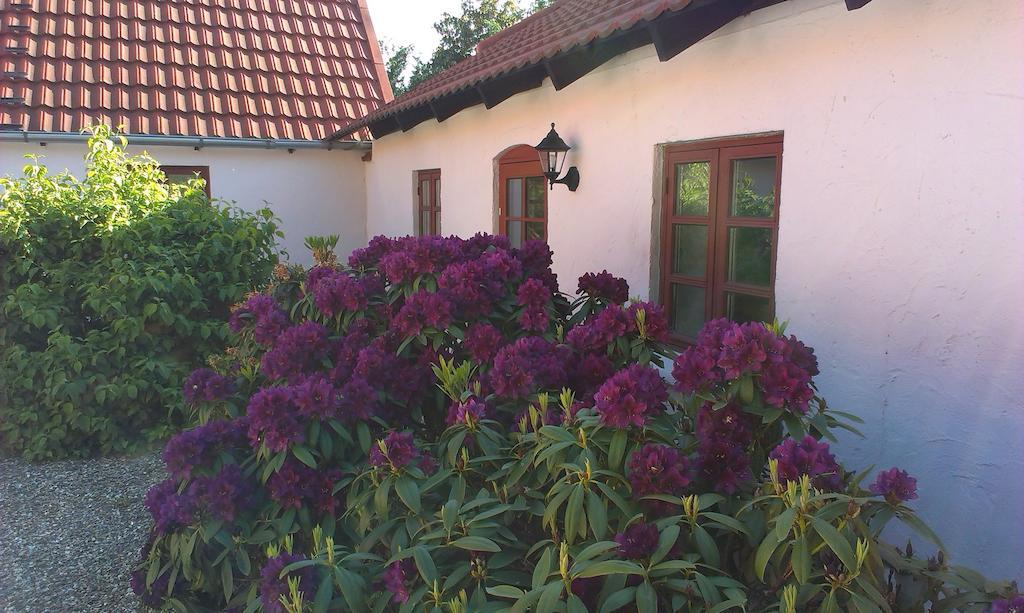 Vranum Guesthouse Viborg Eksteriør bilde