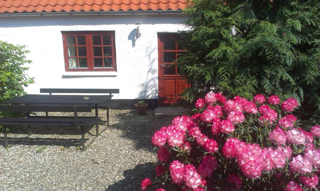 Vranum Guesthouse Viborg Eksteriør bilde