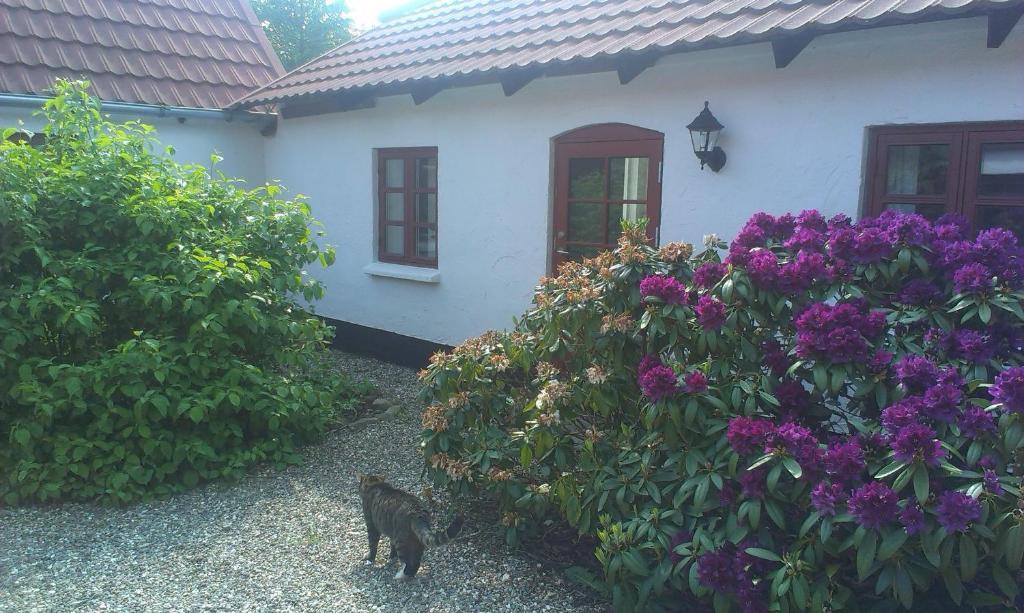 Vranum Guesthouse Viborg Eksteriør bilde