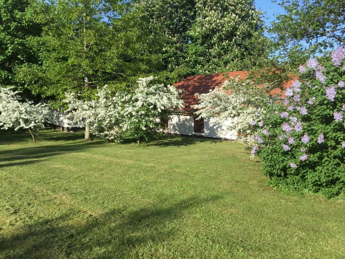 Vranum Guesthouse Viborg Eksteriør bilde